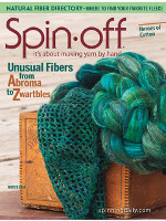 Titelbild Spin Off Winter 2014